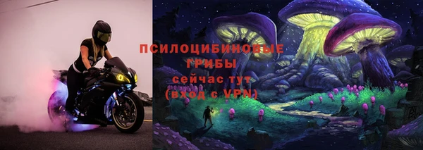 спиды Алексин