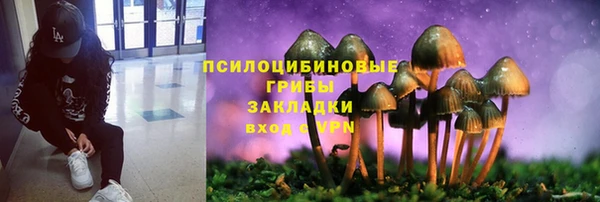 бошки Абдулино