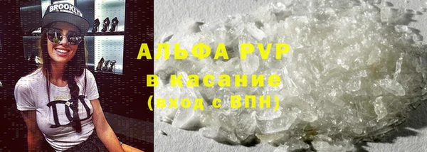 крисы Абаза