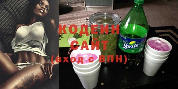 крисы Абаза