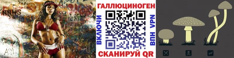 Галлюциногенные грибы GOLDEN TEACHER  Собинка 